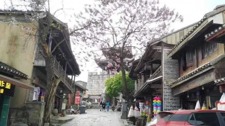 什么是增额终身寿险?要不要买?-解密奇迹背后的原理-环球阳光网